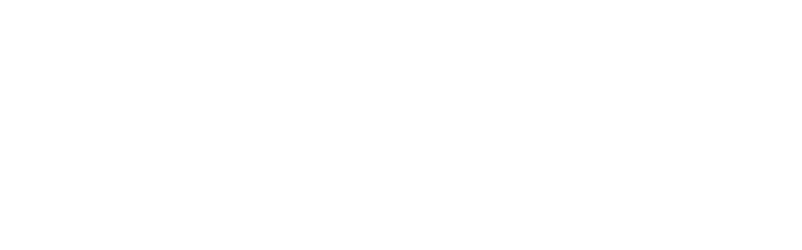 CHIP STRESS LOGO WHITE
